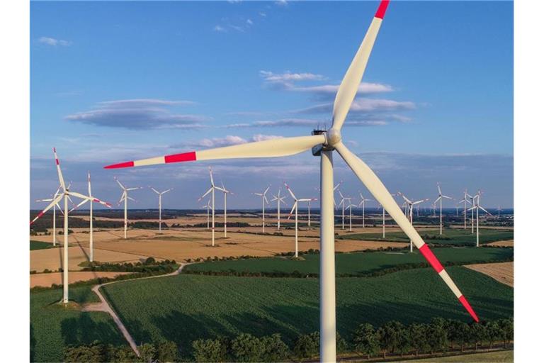 Blick über einen Windpark in Brandenburg. Foto: Patrick Pleul/zb/dpa