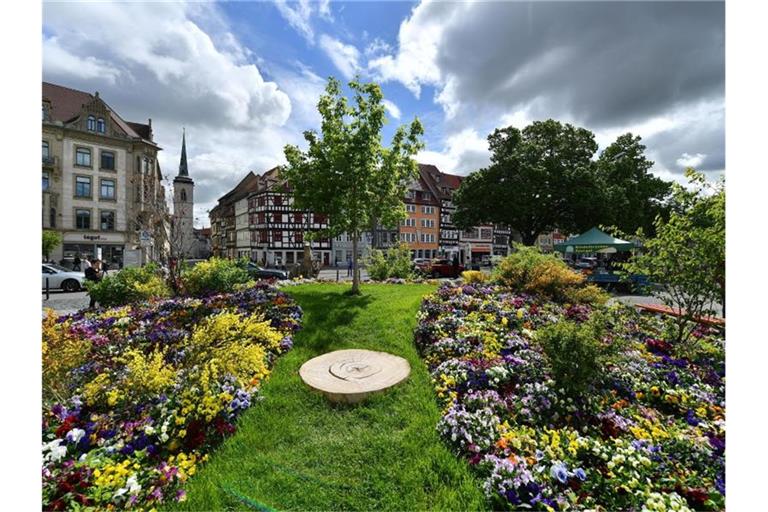 Blumen blühen Mitte Mai bei der Bundesgartenschau in Thüringen. Foto: Martin Schutt/dpa-Zentralbild/ZB/Archivbild