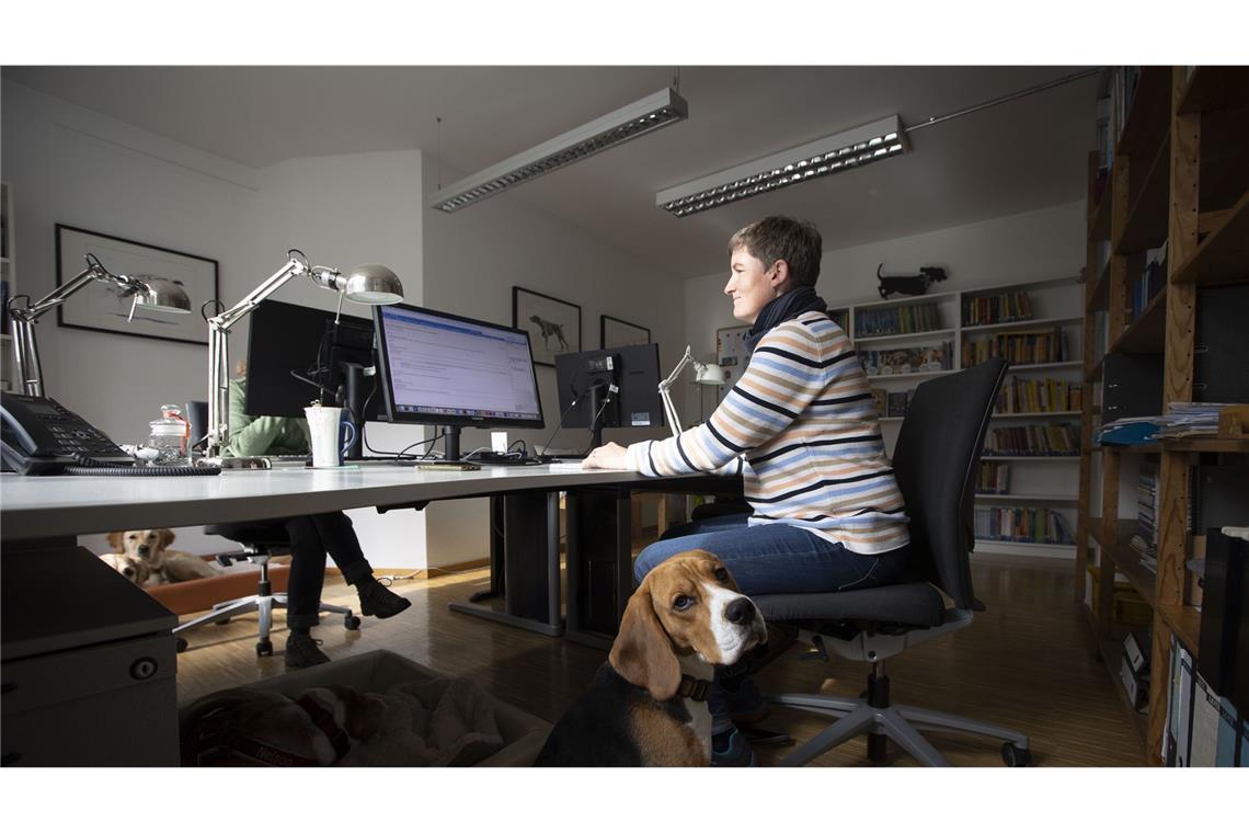 Bürohund Matze und seine Besitzerin Alice Rieger bei der Arbeit.