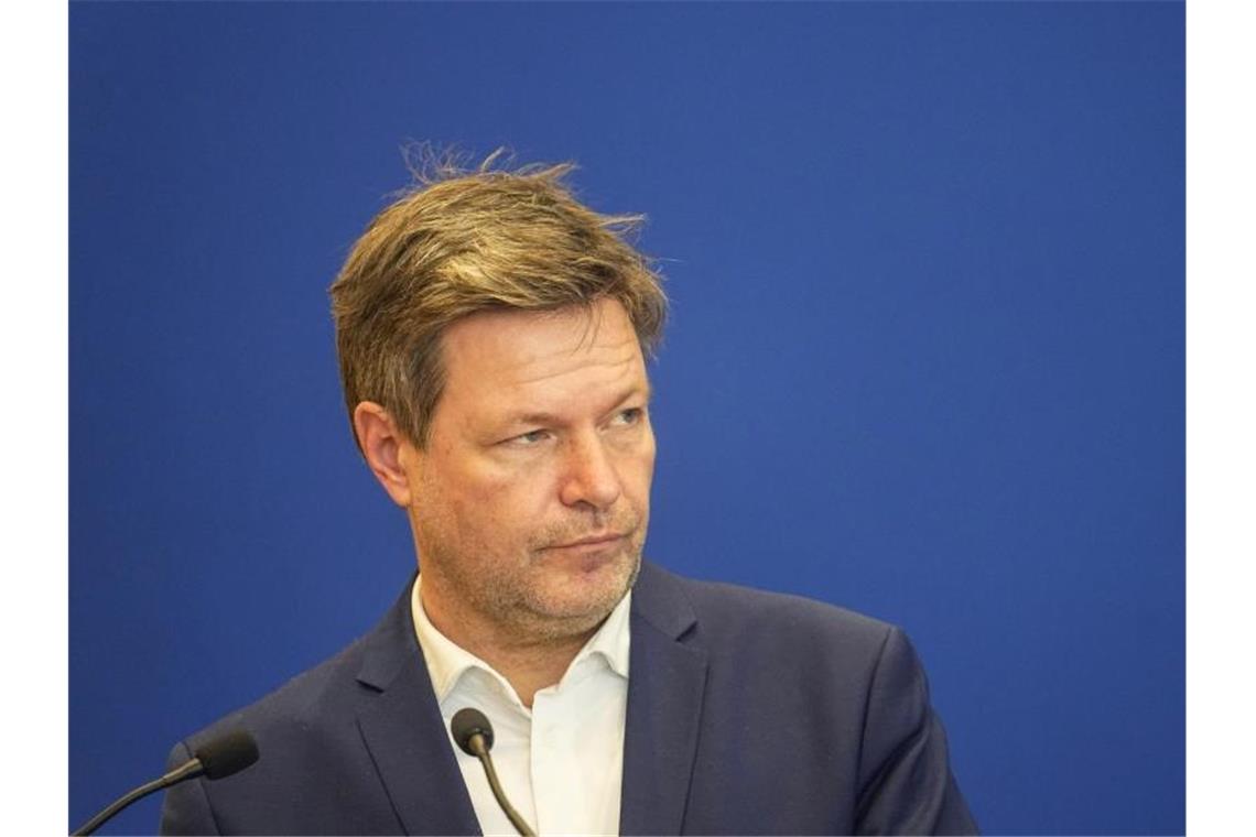 Habeck: Werden Wasserstoff importieren müssen Bundeswirtschafts- und Klimaschutzminister Habeck Robert Habeck. Foto: Michel Euler/AP/dpa