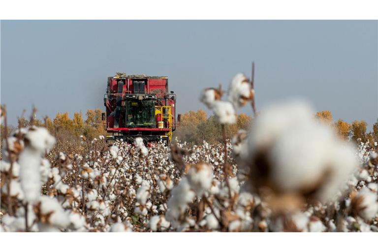 China wirft PVH vor, Baumwolle und andere Produkte aus Xinjiang gemieden zu haben. (Symbolbild)