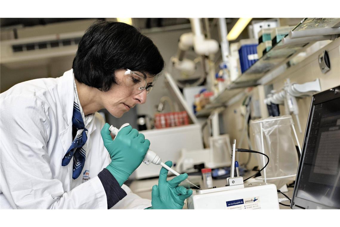 Biotec-Unternehmen schafft es aus der Verlustzone Curevac konzentriert sich jetzt auf die Entwicklung von Impfstoffen gegen Krebs.