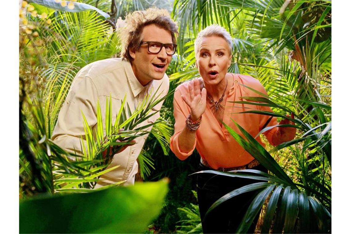 RTL-Dschungel begonnen - „Ich hasse stinkende Menschen“ Daniel Hartwich und Sonja Zietlow moderieren das RTL-Dschungelcamp. Foto: Stefan Gregorowius/dpa