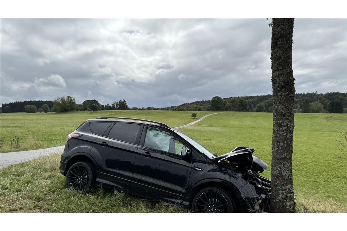 Das Auto kollidierte dabei mit einem Baum.