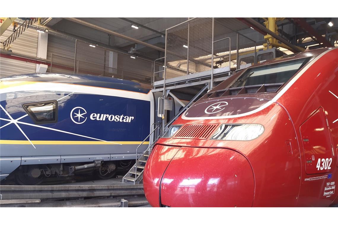 Das Bahnunternehmen Eurostar will in bis zu 50 neue Züge investieren.