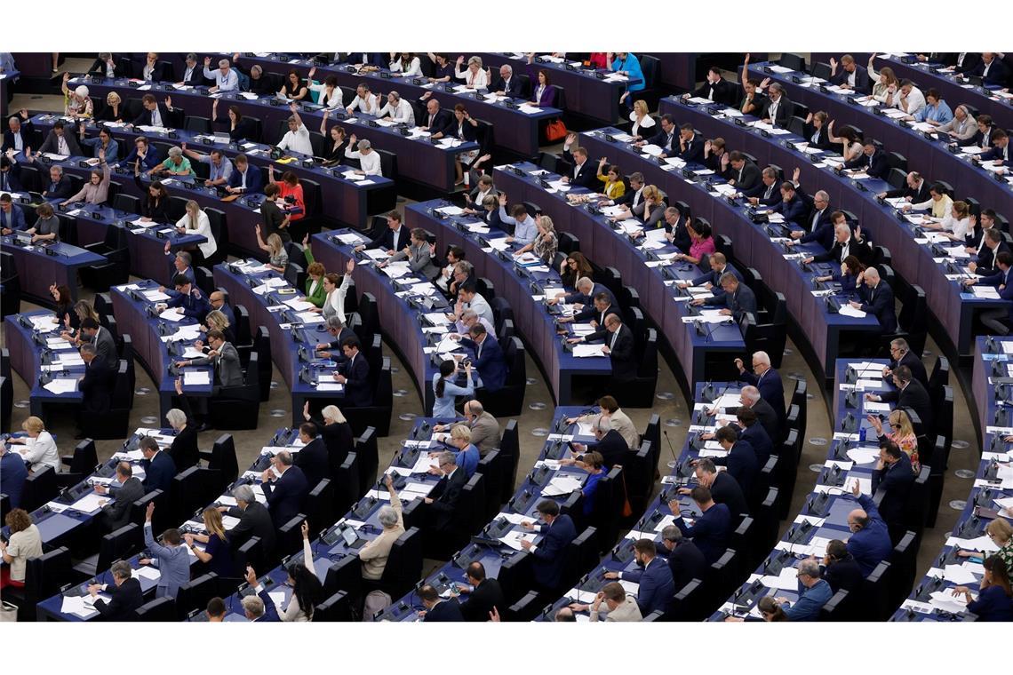 Das Europäische Parlament in Straßburg. Amazon-Lobbyisten soll der Zugang zum Parlamentsgebäude verwehrt werden.
