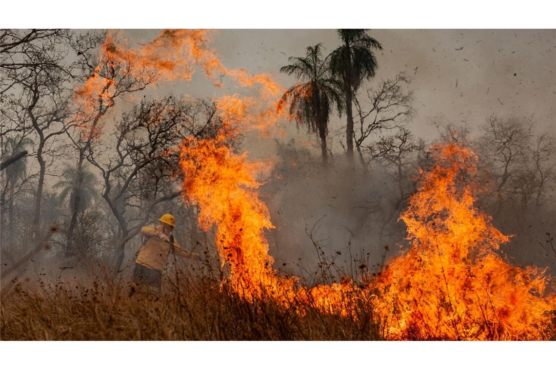 Das Feuer richtet Verwüstung in der gesamten Region an.