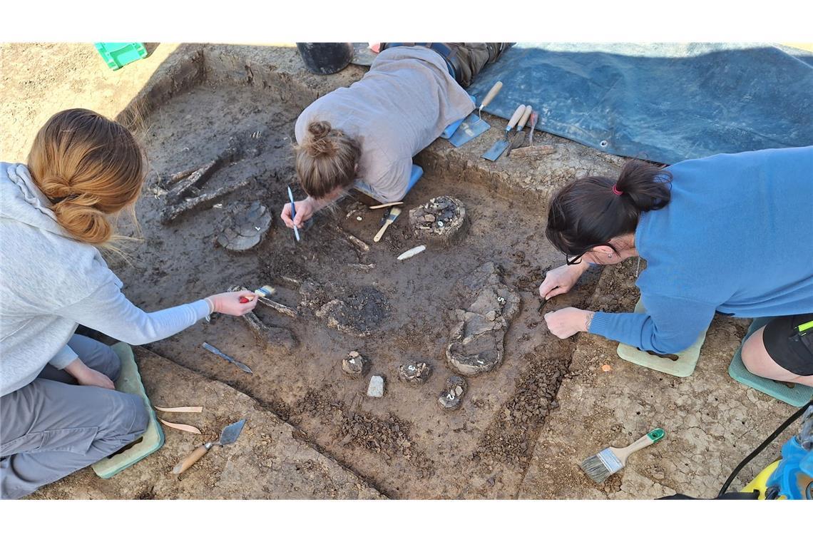 Das Grab im Ortsteil Exing, nach dem das Skelett als „Exinger“ bezeichnet wird, wurde bei einer Untersuchung vor Bauarbeiten entdeckt.