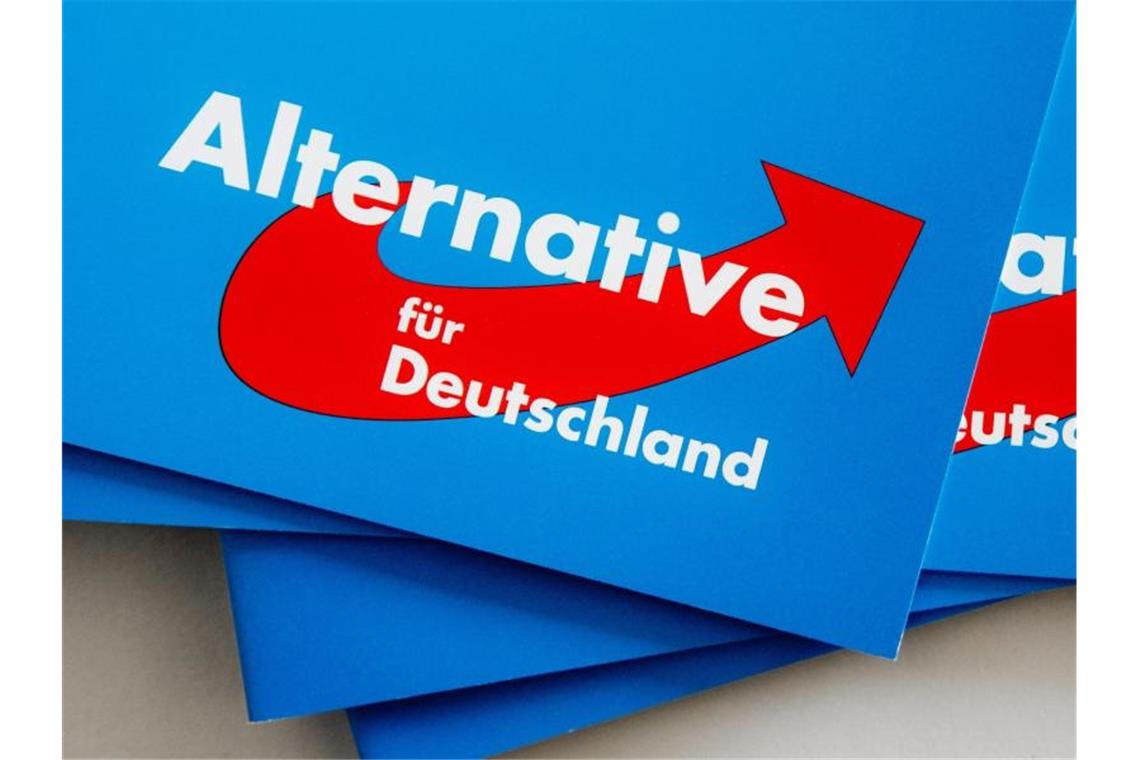 Das Logo der Alternative für Deutschland (AfD) auf dem Landesparteitag der AfD auf Parteibroschüren. Foto: Markus Scholz/dpa/Symbol