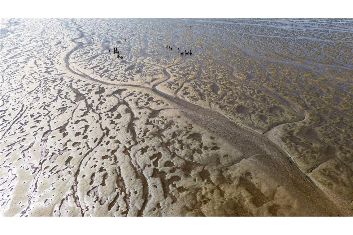 Das Meerwasser im Watt erwärmt sich besonders schnell. (Archivbild)