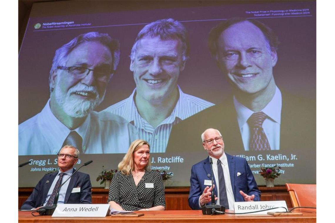 MedizinNobelpreis für SauerstoffForschung