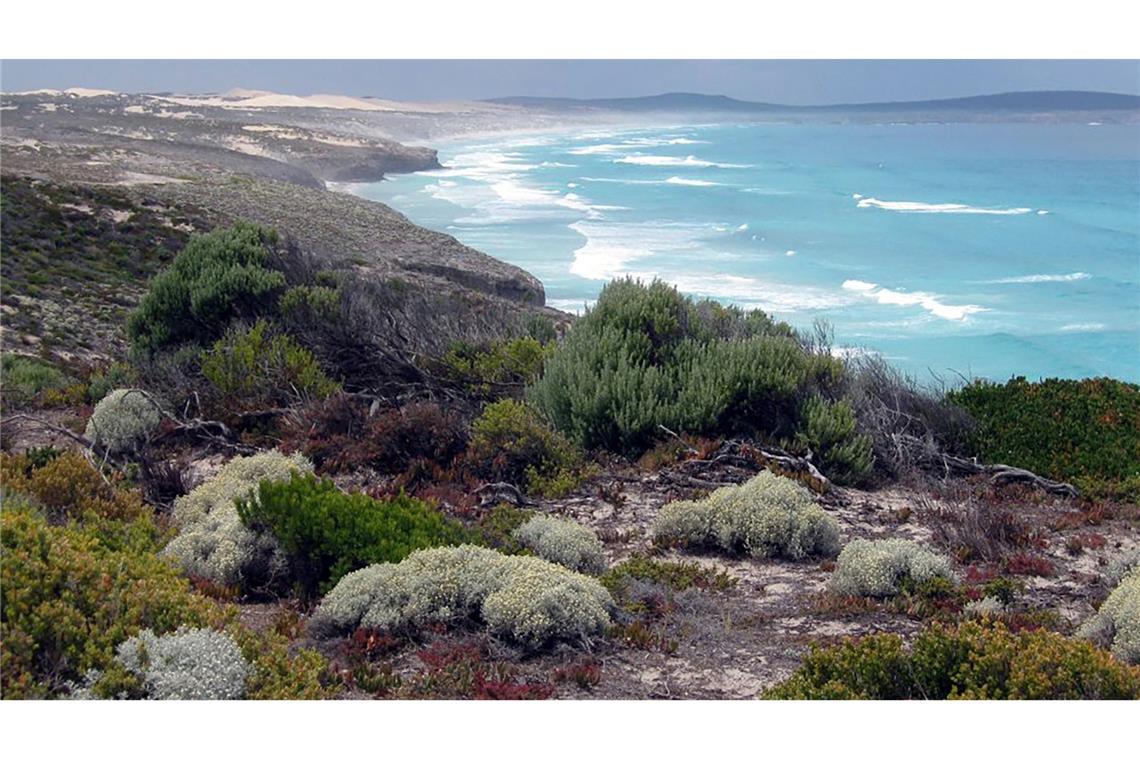 Das Opfer stammt aus dem wenige Hundert Kilometer entfernten Port Lincoln. (Archivbild)