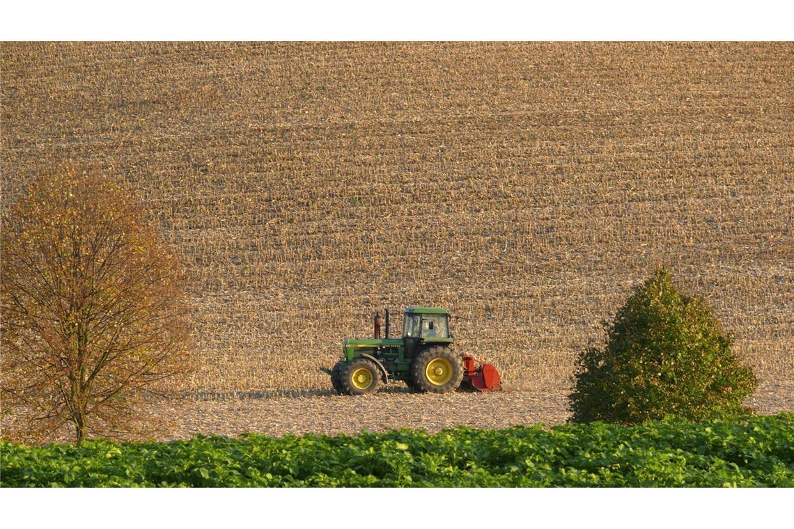 Das Pachten von  einem Hektar Ackerland kostet derzeit 311 Euro. (Symbolbild)