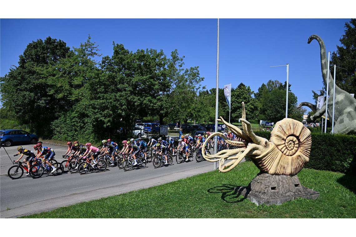 Das Peloton der Deutschland-Tour passiert während der dritten Etappe eine Nachbildung eines prähistorischen Fossils am Urwelt-Museum Hauff in Holzmaden vorbei.