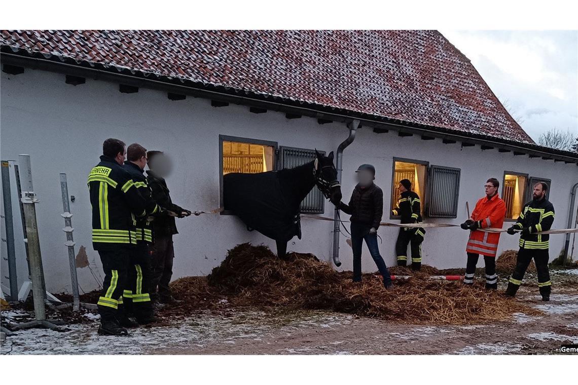 Das Pferd blieb im Stallfenster stecken.