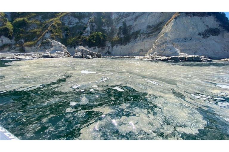 Das Phänomen Algenschleim ist schon lange bekannt. Vermutlich begünstigen heiße Sommer ein verstärktes Algenwachstum in der Adria.