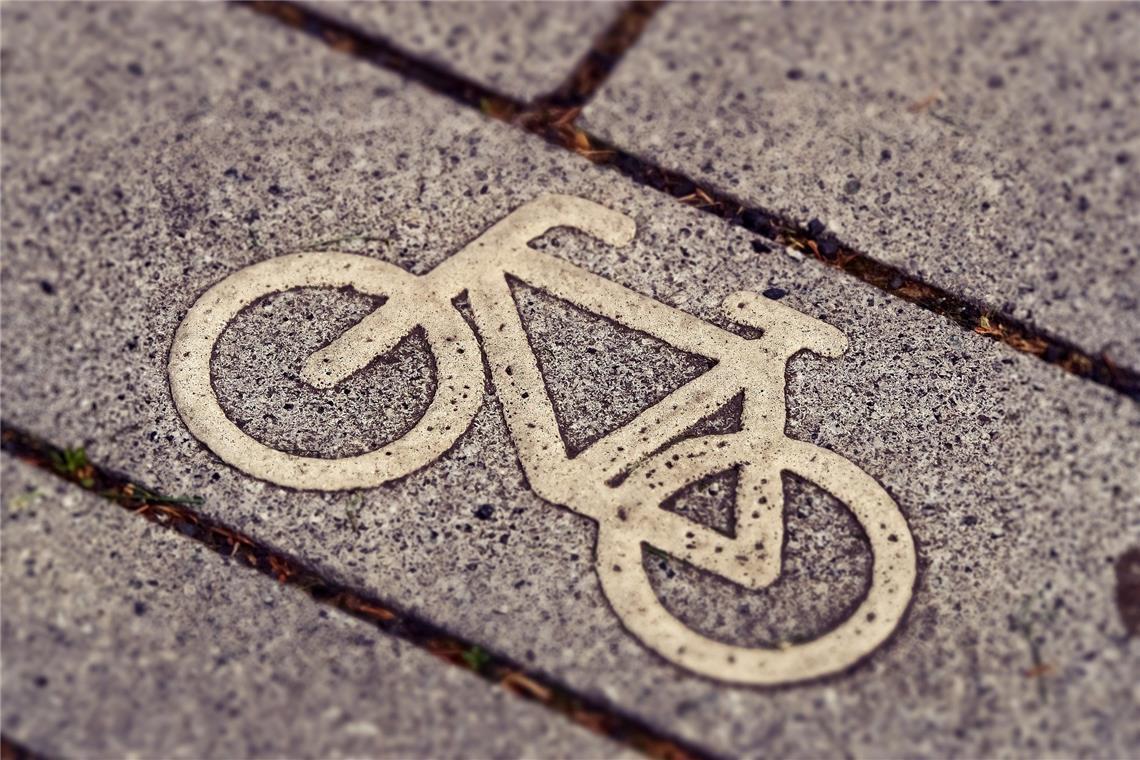 Das Team des Planungsbüros hat sich die bestehenden Radwege vor Ort angeschaut. (Symbolbild: Michael Gaida auf Pixabay)