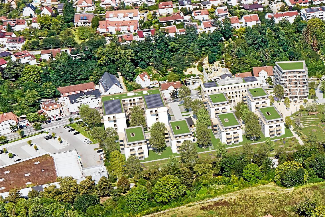 Das u-förmige Gebäude mit Pflegestift Backnang (links) steht bereits. Jetzt werden in der Oberen Walke sechs weitere Häuser und ein Büro- und Dienstleistungszentrum entlang der Gartenstraße gebaut. Bei dem achtstöckigen Gebäude rechts daneben handelt es sich bereits um den dritten Bauabschnitt, der wohl erst nach 2027 angegangen werden soll. Visualisierung: Dibag