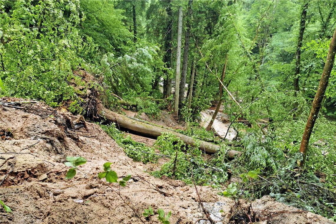 Das Unwetter im Juni hat die Wanderwege in Althütte, Rudersberg und Welzheim stark in Mitleidenschaft gezogen. An dieser Stelle führte der Weg einst zur Klingenmühle hinab. Archivbild: Gabriel Habermann