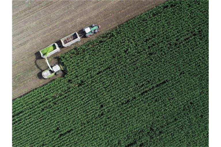 Das Urteil der Umweltverbände auf den EU-Kompromiss zur Agrarreform fällt unisono vernichtend aus. Foto: Patrick Pleul/dpa-Zentralbild/dpa