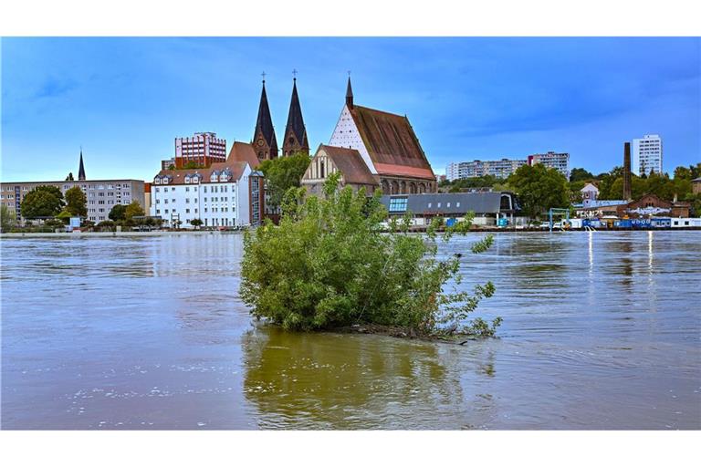 Das Wasser der Oder steht noch sehr hoch in Frankfurt.