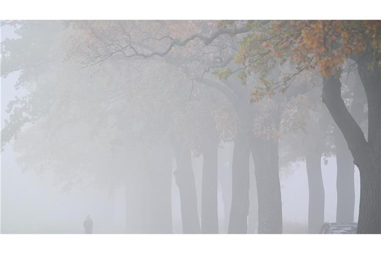 Das Wetter bleibt am Wochenende oft grau. (Archivbild)