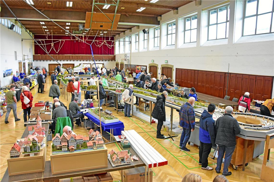 Den größten Raum in der Backnanger Stadthalle nimmt die Modulanlage des Modelleisenbahnclubs Waiblingen (MEC) ein. Fotos: Tobias Sellmaier 