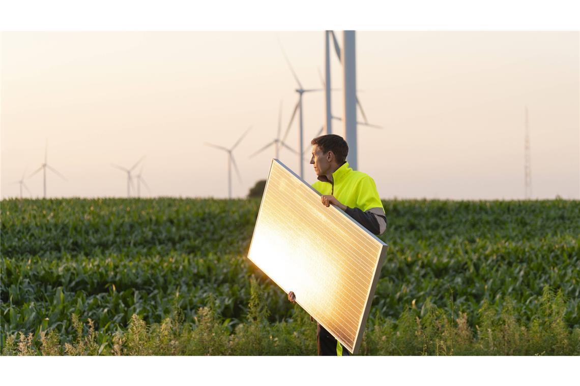 Der Ausbau der Erneuerbaren Energien beschleunigte sich zuletzt – doch insbesondere bei den Netzen muss viel getan werden.