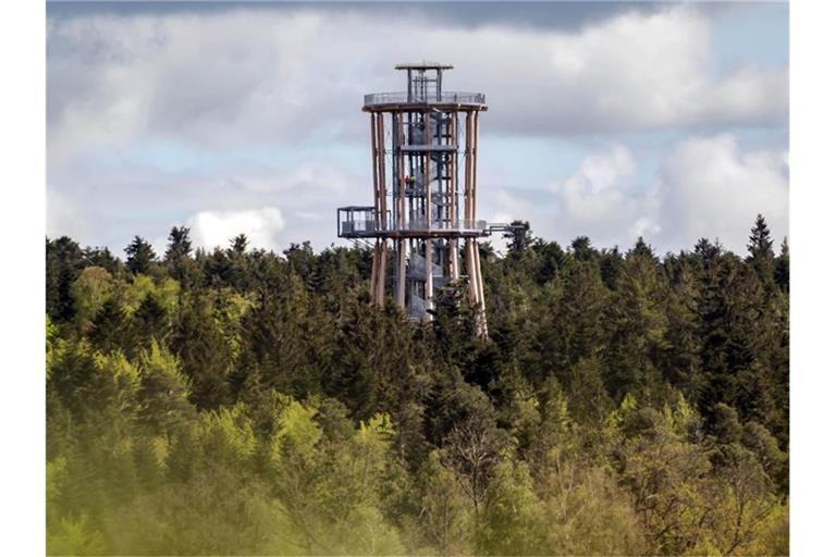 Der Aussichtsturm Himmelsglück ragt aus einem Waldstück im Nordschwarzwald. Foto: Uli Deck/dpa/Archivbild