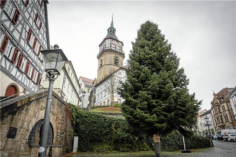 Der Baum auf dem Marktplatz ist einer von 16 Weihnachtsbäumen im Backnanger Stadtgebiet. Foto: Alexander Becher