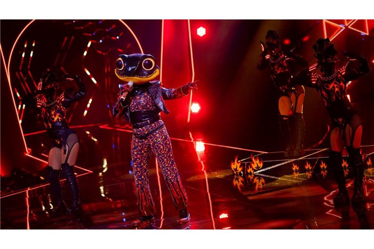 Der Feuersalamander hat es bei "The Masked Singer" nicht ins Finale geschafft. (Archivbild)