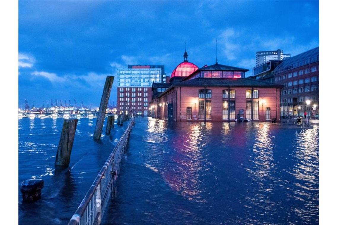 Hamburger Fischmarkt unter Wasser Der Fischmarkt mit der Fischauktionshalle in Hamburg am Samstagmorgen. Foto: Daniel Bockwoldt/dpa