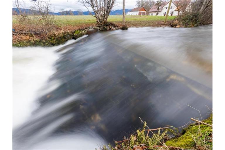 Der Fluss Brugga fliesst nahe dem Kirchzartener Ortsteil Neuhäuser über eine Krebssperre. Foto: Philipp von Ditfurth/dpa