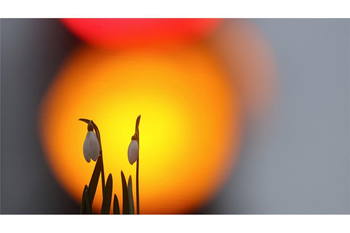 Der Frühling zeigt sich in der neuen Woche öfter.