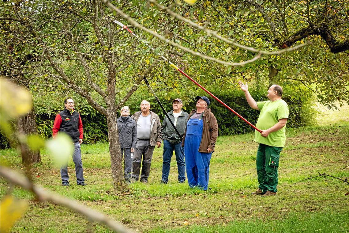 Der Gartenbaufachmann Alexander Weißbarth (rechts) gibt in Rietenau Baumschnittkurse und Schulungen. Vereinsvorstand Michael Reichert, die Mitglieder Klaus-Dieter Schnaithmann und Rainer Stark sowie Marion Widy und Andreas Rikker von der Firma Streker (von rechts) schauen interessiert zu. Foto: Alexander Becher