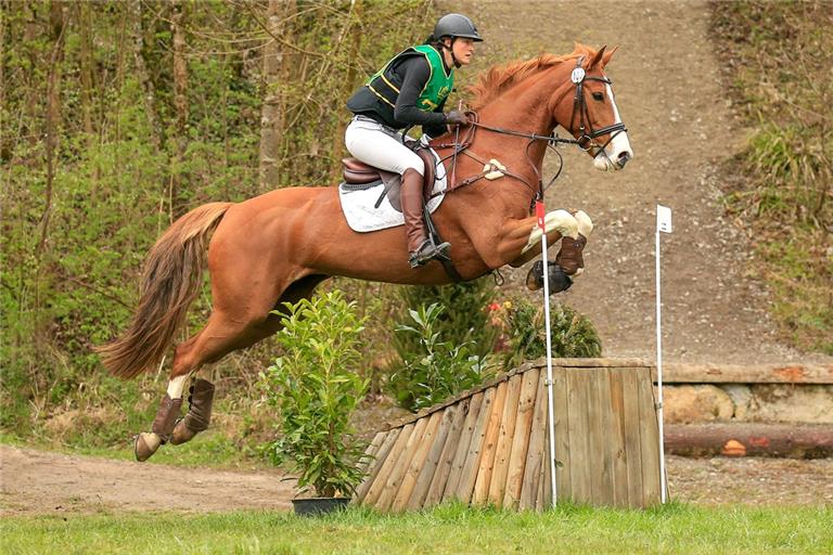 Der Geländeritt ist eines der sportlichen Highlights beim Vielseitigkeitsturnier in Kirchberg. Foto: Alexander Becher