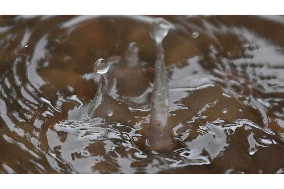 Der Geruch von Sommerregen heißt Petrichor. (Archivbild)