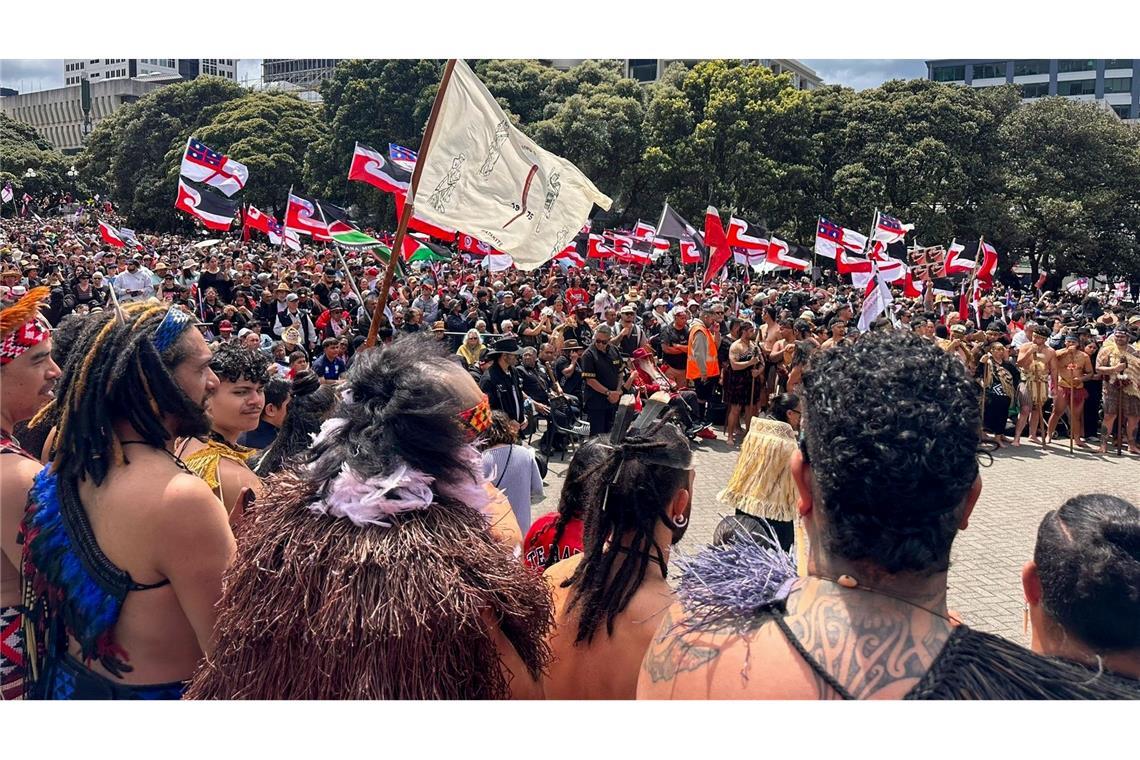 Der Gesetzesentwurf legt das Gründungsdokument Neuseelands - den Vertrag von Waitangi - neu aus.