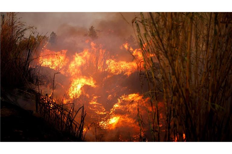 Der größte Waldbrand des Jahres ist gefährlich nah an die Hauptstadt Athen herangerückt.