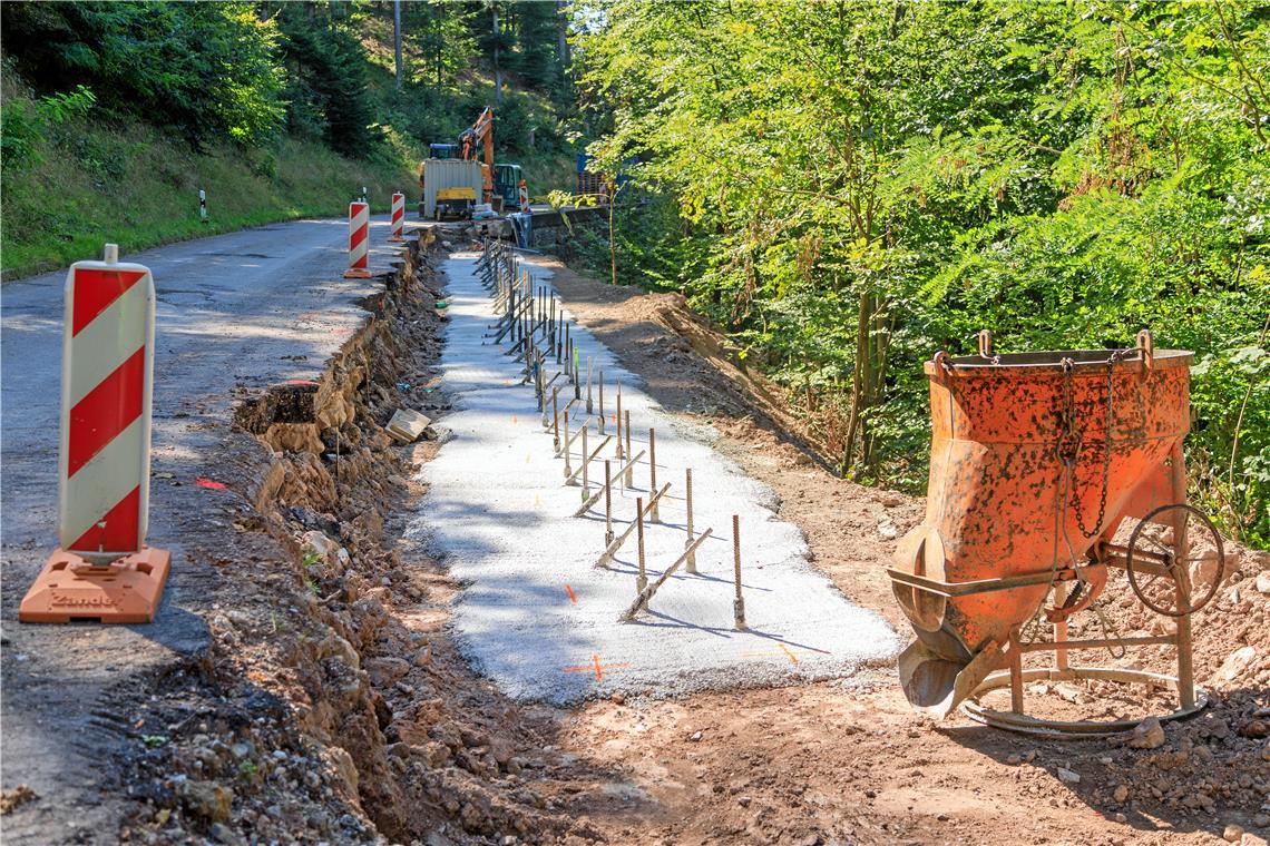 Der Hang wird unter anderem mit Mikropfählen gesichert, die senkrecht sowie schräg in den Grund gebohrt werden. Foto: Stefan Bossow