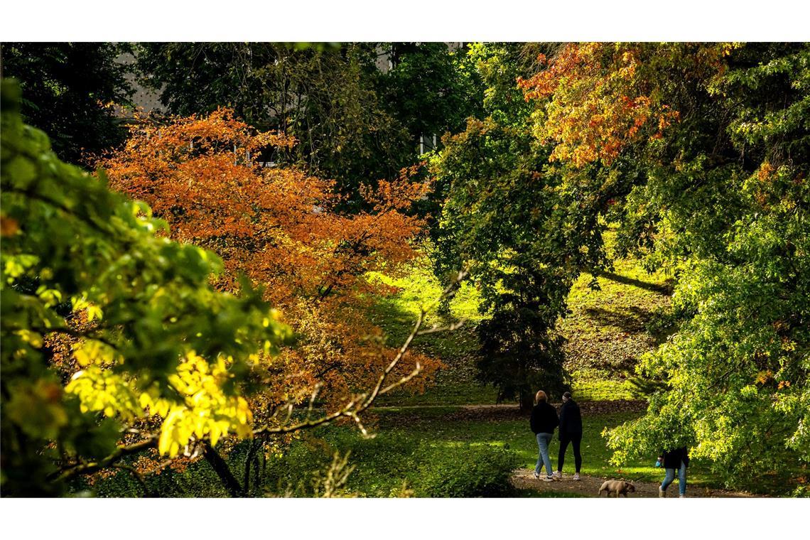 Der Herbst ist da - Das Laub verfärbt sich in den Bremer Wallanlagen