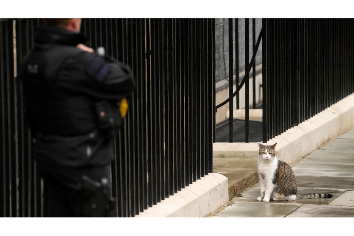 Der Kater wohnt länger in der Downing Street als jeder Premier seit Ende des 19. Jahrhunderts.