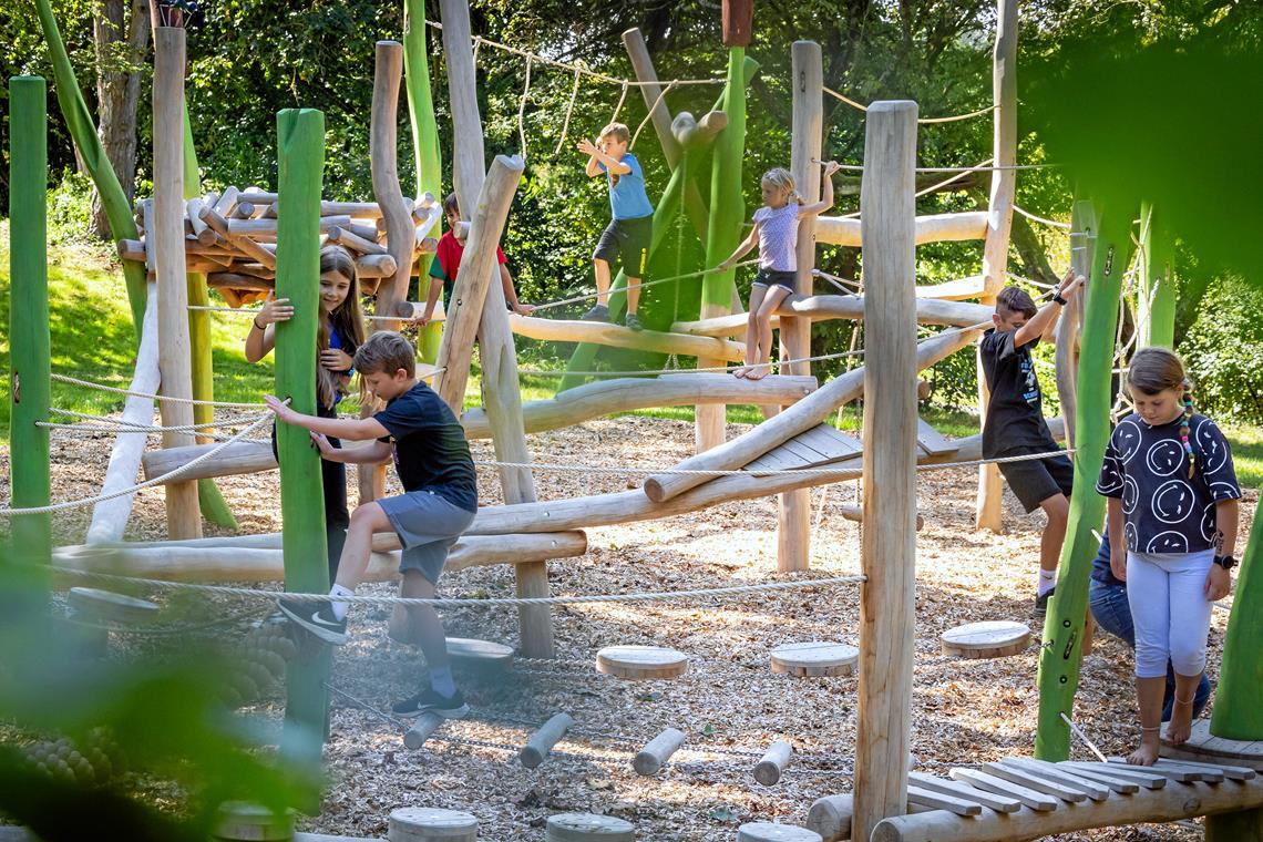 Der Kletterwald eignet sich bestens, um die Balance und die Geschicke des Körpers herauszufordern. Archivfoto: Alexander Becher