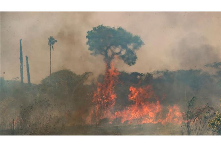 Der Klimawandel beeinträchtigt weltweit immer stärker die menschliche Gesundheit. (Archivbild)