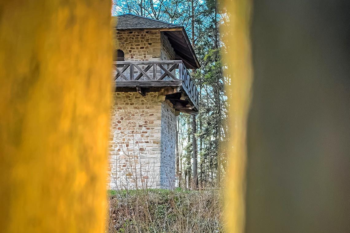 Der Limesturm in Grab ist Ziel beziehungsweise Ausgangsort von Touren, die Teil der Veranstaltungsreihe sind. Foto: Alexander Becher