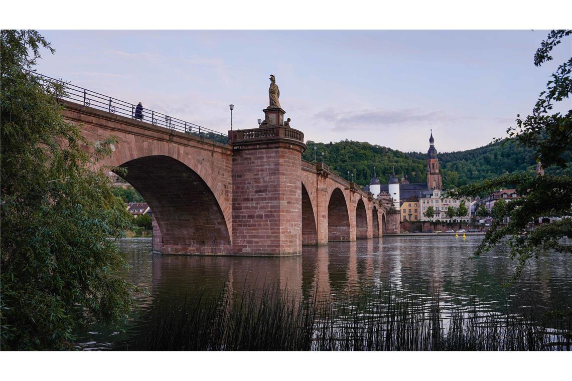 Der Mann sprang bei der Flucht vor der Polizei in Heidelberg in den Neckar. (Symbolbild)