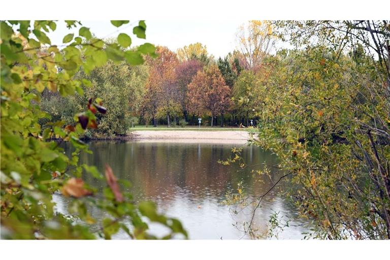 Der Mann war während eines von zwei JVA-Beamten beaufsichtigten Ausgangs an einem Baggersee in Germersheim in Rheinland-Pfalz in ein angrenzendes Waldgebiet geflüchtet.