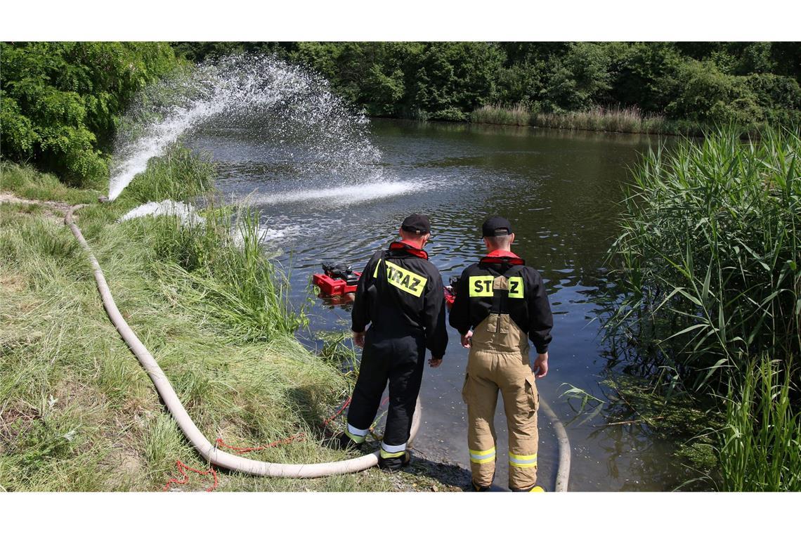 Der mit der Oder verbundene Gleiwitzer Kanal, in dem es erneut zu einer Blüte der giftigen Goldalge gekommen ist. (Archivbild)