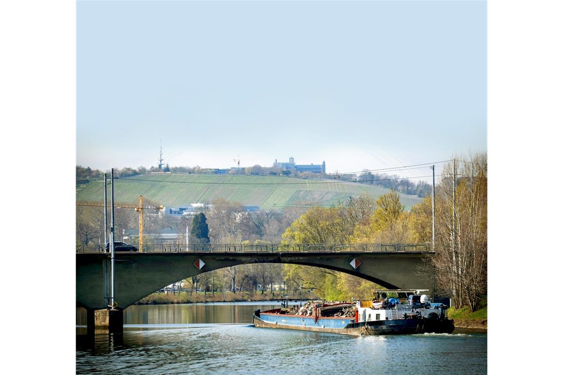 Der Neckar ist gerade in der Region Stuttgart vielen Belastungen ausgesetzt.