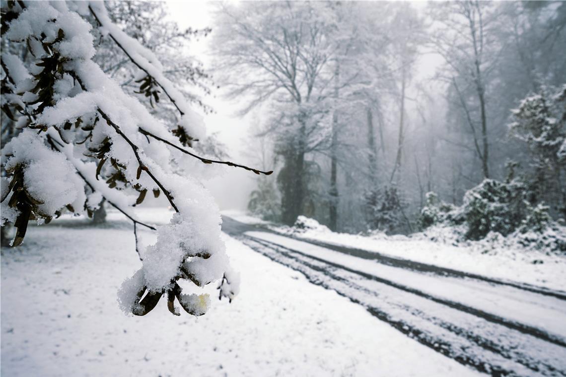 Der November hat sich in den Höhenlagen mit Schnee verabschiedet. Foto: Alexander Becher